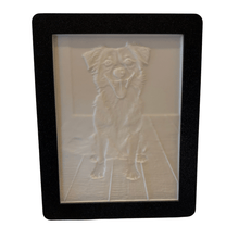 Indlæs billede til gallerivisning Kæledyrs lysbillede i ramme Plakana