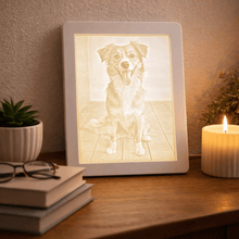 Indlæs billede til gallerivisning Kæledyrs lysbillede i ramme Plakana