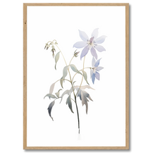 Indlæs billede til gallerivisning Delicate Wildflower Plakat