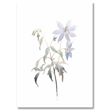 Indlæs billede til gallerivisning Delicate Wildflower Plakat