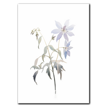 Indlæs billede til gallerivisning Delicate Wildflower Plakat