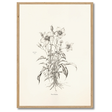 Indlæs billede til gallerivisning Floral Poetry Plakat Plakana 21x30 cm (A4) Egetræ