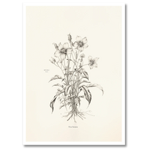 Indlæs billede til gallerivisning Floral Poetry Plakat Plakana 21x30 cm (A4) Hvid Egetræ