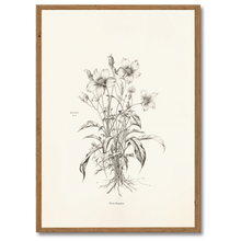 Indlæs billede til gallerivisning Floral Poetry Plakat Plakana 21x30 cm (A4) Mørk egetræ