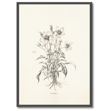 Indlæs billede til gallerivisning Floral Poetry Plakat Plakana 21x30 cm (A4) Sort egetræ