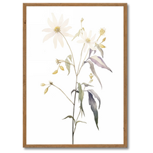 Indlæs billede til gallerivisning Floral Forms Plakat Plakana 21x30 cm (A4) Mørk egetræ