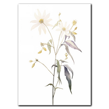 Indlæs billede til gallerivisning Floral Forms Plakat Plakana 21x30 cm (A4) Ingen ramme