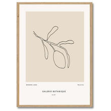Indlæs billede til gallerivisning Gallerie Botanique No. 1 Plakat Plakana 21x30 cm (A4) Egetræ