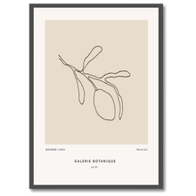 Indlæs billede til gallerivisning Gallerie Botanique No. 1 Plakat Plakana 21x30 cm (A4) Sort egetræ