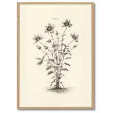 Indlæs billede til gallerivisning Wildflower Plakat