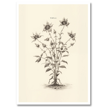 Indlæs billede til gallerivisning Wildflower Plakat