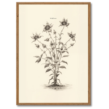 Indlæs billede til gallerivisning Wildflower Plakat