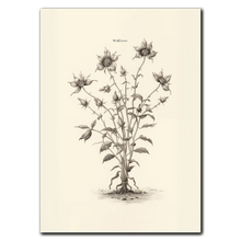 Indlæs billede til gallerivisning Wildflower Plakat