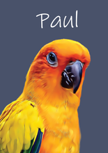 Indlæs billede til gallerivisning Kæledyrs portræt Plakana