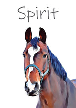 Indlæs billede til gallerivisning Kæledyrs portræt Plakana