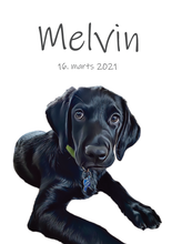 Indlæs billede til gallerivisning Kæledyrs portræt Plakana