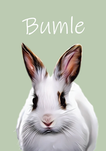 Indlæs billede til gallerivisning Kæledyrs portræt Plakana