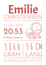 Indlæs billede til gallerivisning Fødselsplakat med stjernetegn Plakana