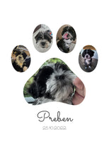 Indlæs billede til gallerivisning Pote plakat Plakana
