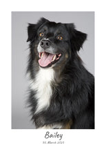 Indlæs billede til gallerivisning Kæledyrsbillede Plakana
