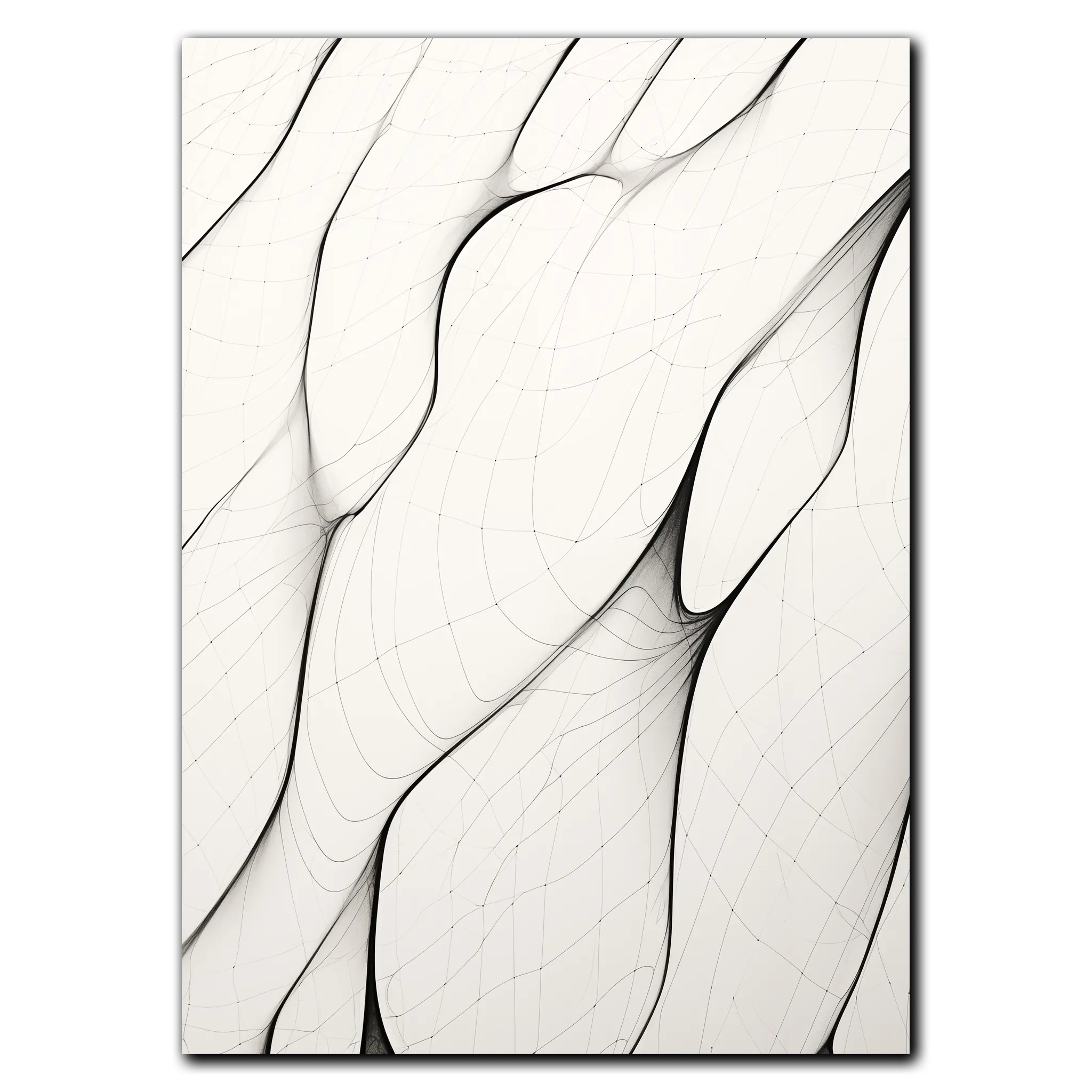 Abstract Curves Plakat 30x42 cm (A3) / Ingen ramme