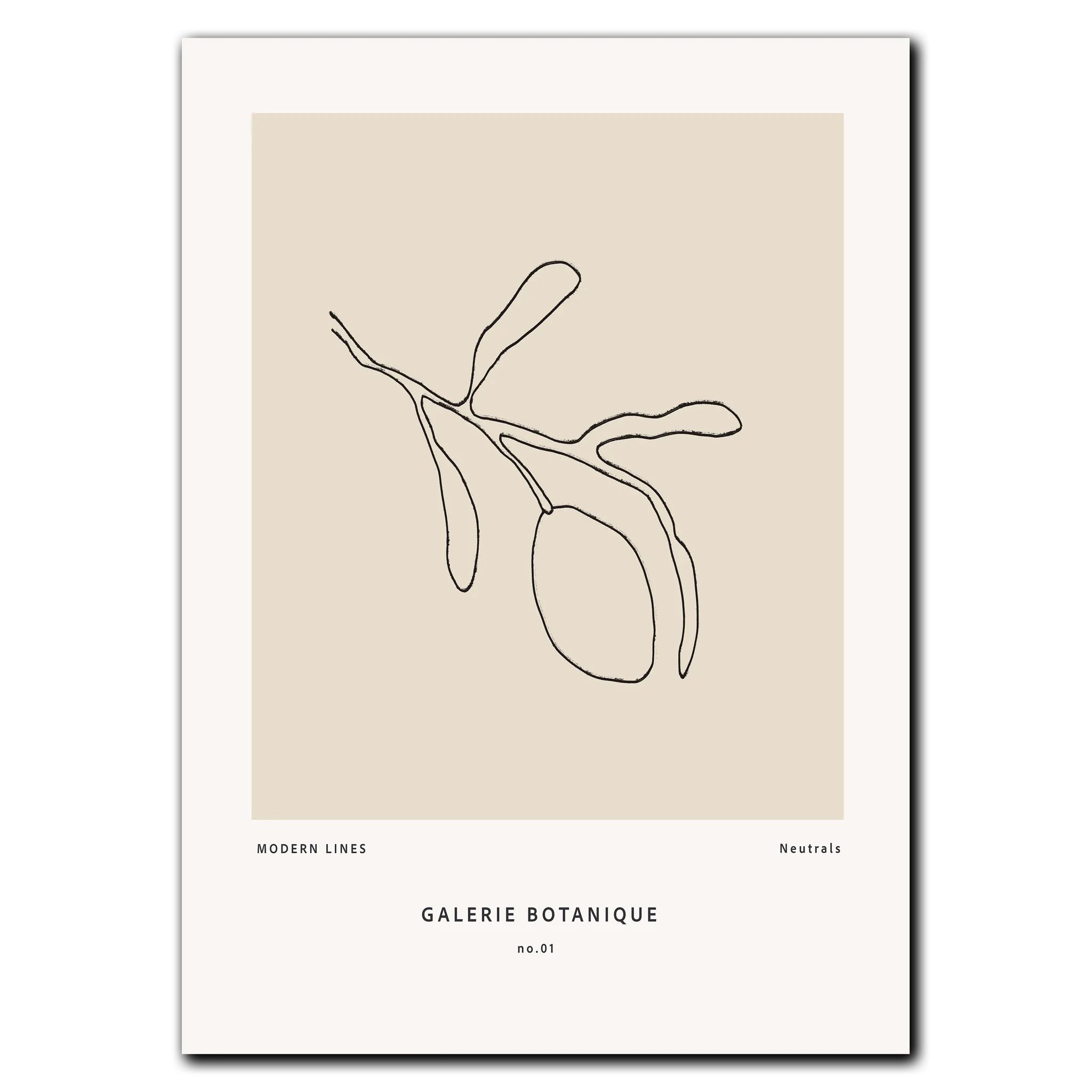 Gallerie Botanique No. 1 Plakat 21x30 cm (A4) / Egetræ