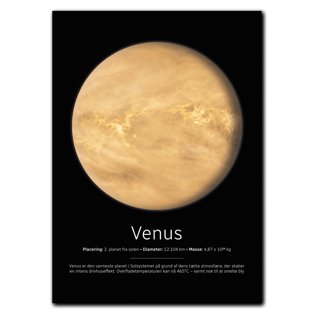 Venus Plakat